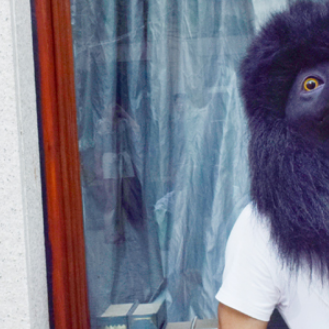 Come to Buy Black Poodle Masks Halloween for your costume or Christmas parties