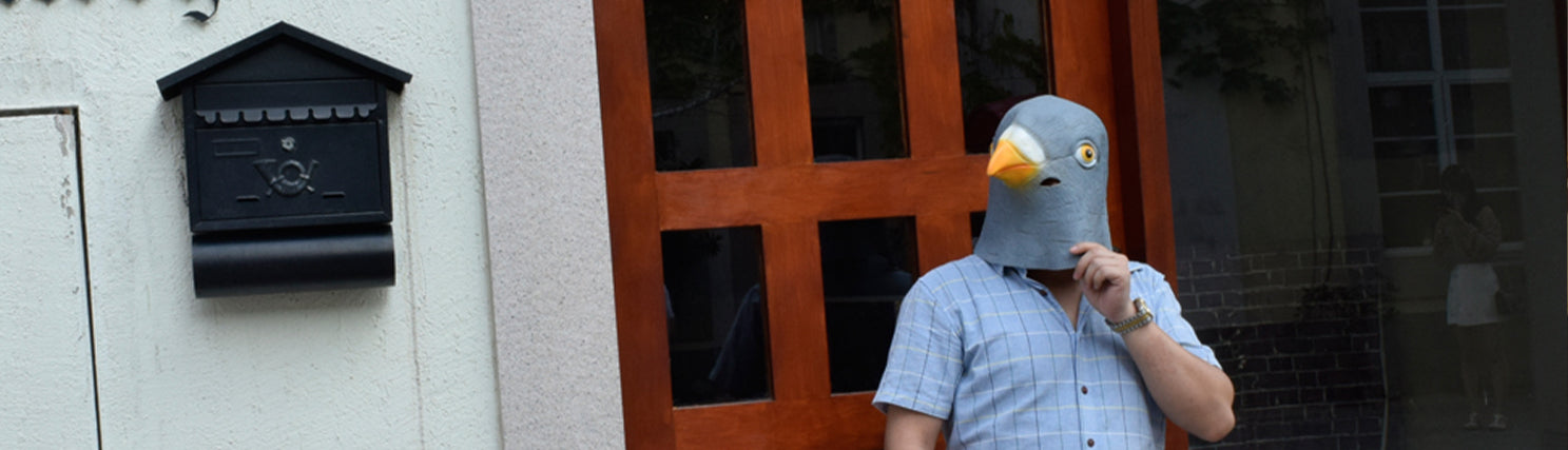 Find the costume blue pigeon mask for kids in one-size-fits-all designs