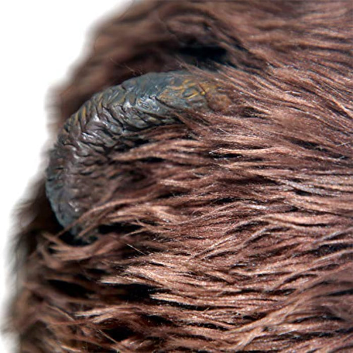 Plush Brown Bear Mask