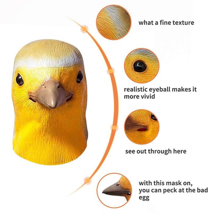 Robin Bird Vogel Masks