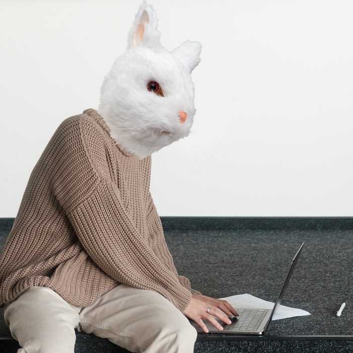 CreepyParty Cute Bunny Rabbit Mask