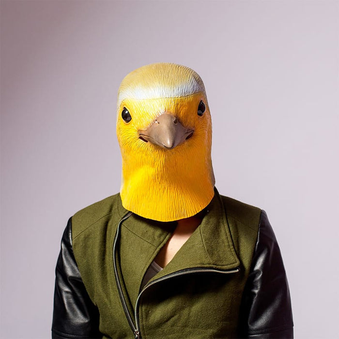 Robin Bird Vogel Masks