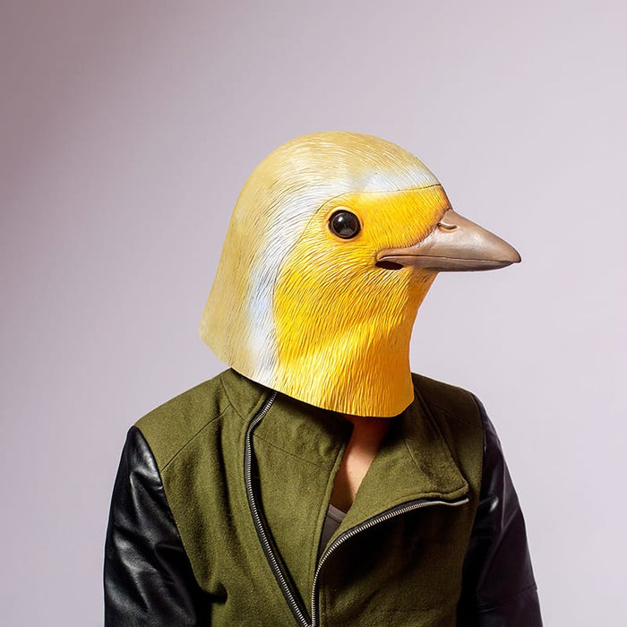 Robin Bird Vogel Masks