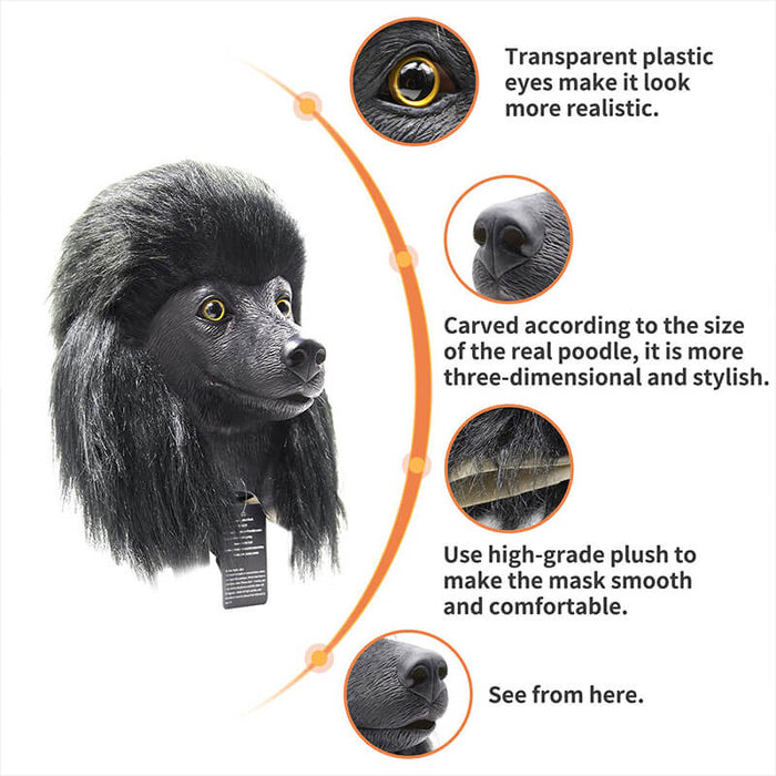 transparent plastic eyes make it look more realistic.