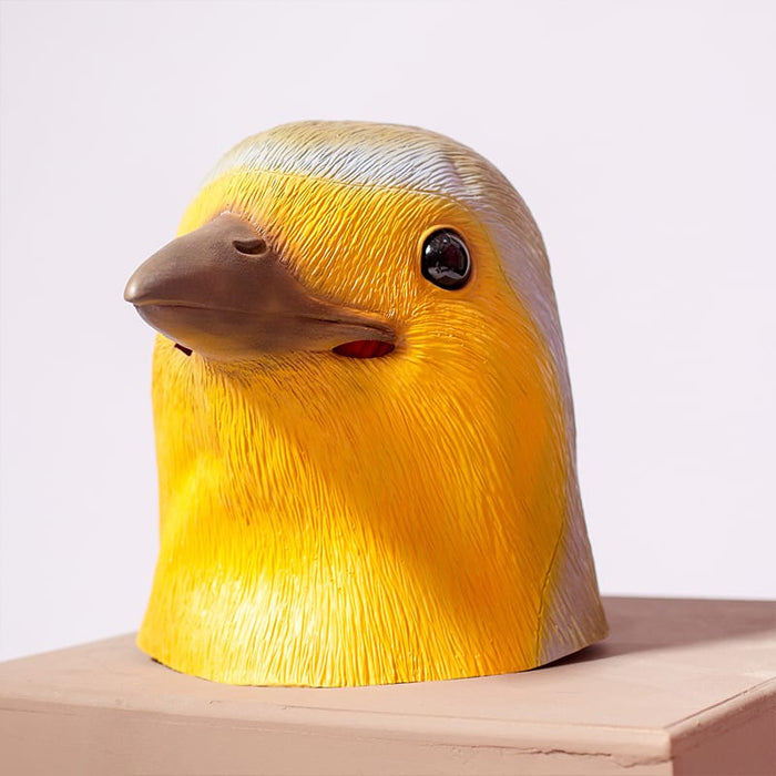 Robin Bird Vogel Masks