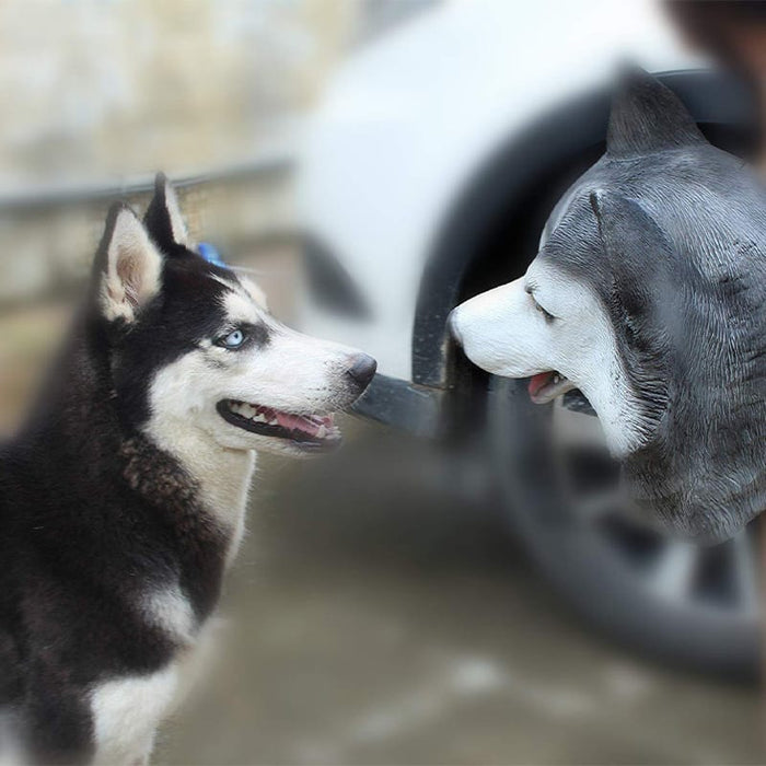 Dog Head Husky Mask