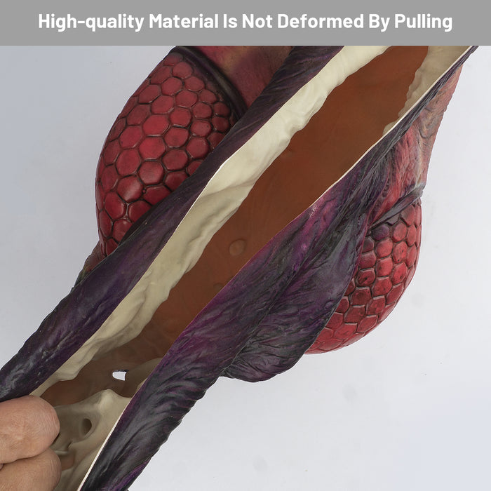 CreepyParty Ant-man Mask Insect Fancy Dress