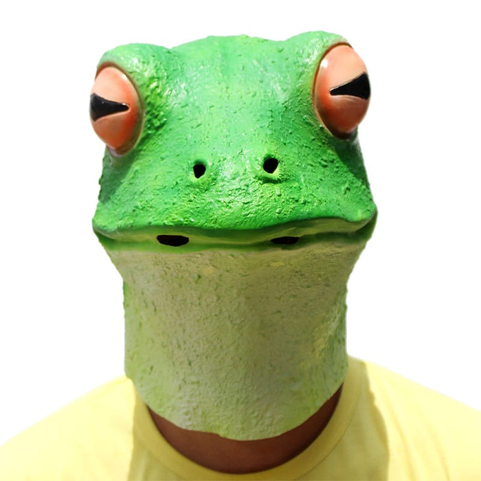 Frog Mask for Halloween