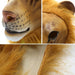 Forest Animal Beast Female Lion Mask