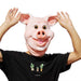 Funny Cute Happy Pig Mask