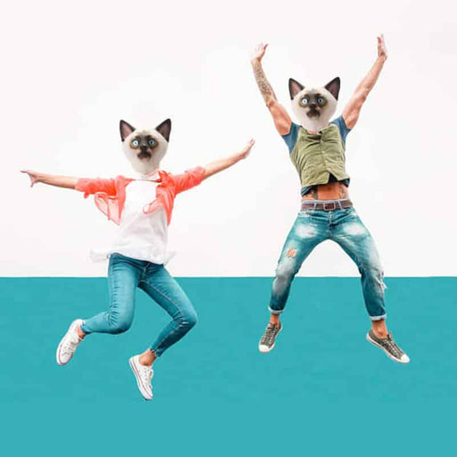 CreepyParty White Cat Mask for Halloween