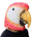 Red Parrot Mask for Halloween Costume Party