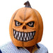 Halloween Decoration Pumpkin Mask
